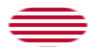 Sons of Liberty (VS ca. 1765, 13 banen)-Vlag als ovaal vignet