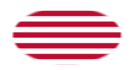 Sons of Liberty (VS ca. 1765, 13 banen)-Vlag als ovaal vignet