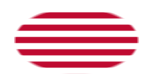 Sons of Liberty (VS ca. 1765, 13 banen)-Vlag als ovaal vignet