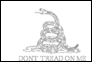 Vlag van Gadsden (VS ca. 1775) om in te kleuren