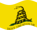 Zwaaien Gadsden (VS ca. 1775) vlag statisch