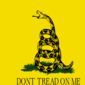 Gadsden (VS ca. 1775)-Vlag vierkant