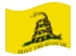 Gadsden (VS ca. 1775)-Vlag zwaaien
