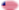 Star-Spangled Banner (VS 1795-1818)-Vlag als ovaal vignet