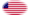 Star-Spangled Banner (VS 1795-1818)-Vlag als ovaal vignet