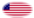 Star-Spangled Banner (VS 1795-1818)-Vlag als ovaal vignet