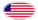 Star-Spangled Banner (VS 1795-1818)-Vlag als ovaal vignet