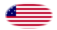 Star-Spangled Banner (VS 1795-1818)-Vlag als ovaal vignet