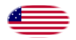 Star-Spangled Banner (VS 1795-1818)-Vlag als ovaal vignet