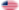 USA 37 sterren (1867-1877)-Vlag als ovaal vignet