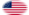 USA 37 sterren (1867-1877)-Vlag als ovaal vignet