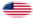 USA 37 sterren (1867-1877)-Vlag als ovaal vignet