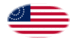 USA 37 sterren (1867-1877)-Vlag als ovaal vignet