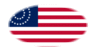 USA 37 sterren (1867-1877)-Vlag als ovaal vignet