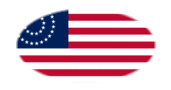 USA 37 sterren (1867-1877)-Vlag als ovaal vignet
