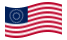 USA 37 sterren (1867-1877)-Vlag zwaaien