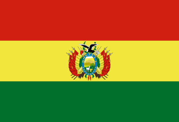 Vlag Bolivia, Vlag Bolivia