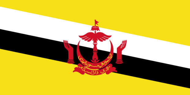 Vlag Brunei Darussalam, Vlag Brunei Darussalam