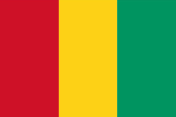 Vlag Guinee