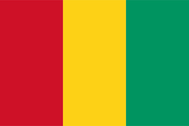 Vlag Guinee, Vlag Guinee