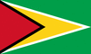 Flag graphics Guyana