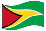 Geanimeerde vlag Guyana