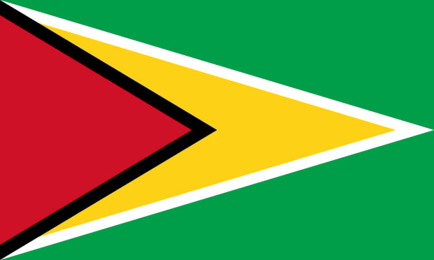 Vlag Guyana, Vlag Guyana