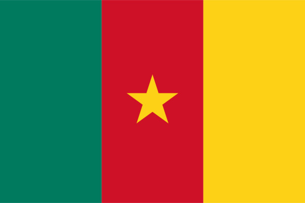Vlag Kameroen