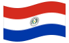 Geanimeerde vlag Paraguay