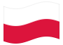 Geanimeerde vlag Polen