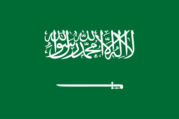 Vlag Saoedi-Arabië, Vlag Saoedi-Arabië