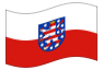 Geanimeerde vlag Thüringen