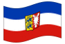 Geanimeerde vlag Sleeswijk-Holstein