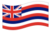 Geanimeerde vlag Hawaii