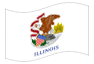 Geanimeerde vlag Illinois