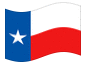 Geanimeerde vlag Texas