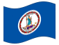 Geanimeerde vlag Virginia
