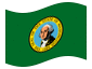 Geanimeerde vlag Washington