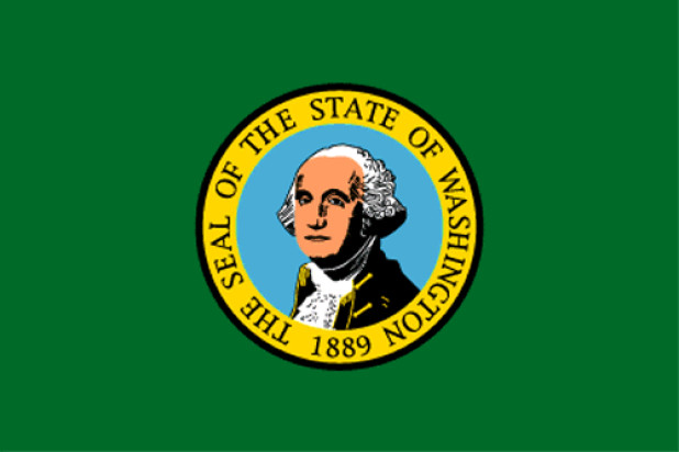 Vlag Washington, Vlag Washington