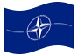 Geanimeerde vlag NAVO (Noord-Atlantische Verdragsorganisatie)