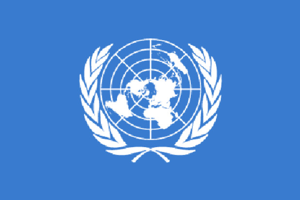 Vlag Verenigde Naties (VN), Vlag Verenigde Naties (VN)