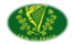 Erin go Bragh-Vlag als ovaal vignet