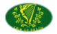 Erin go Bragh-Vlag als ovaal vignet