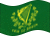 Zwaaien Erin go Bragh vlag statisch