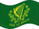 Zwaaien Erin go Bragh vlag statisch