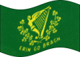 Zwaaien Erin go Bragh vlag statisch