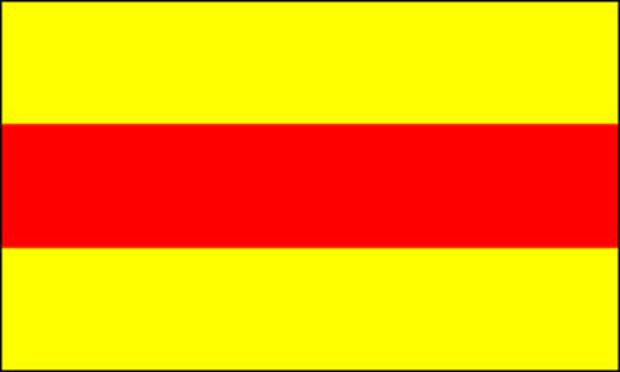 Vlag Baden zonder wapen
