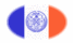 New York-Vlag als ovaal vignet