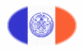 New York-Vlag als ovaal vignet
