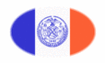 New York-Vlag als ovaal vignet